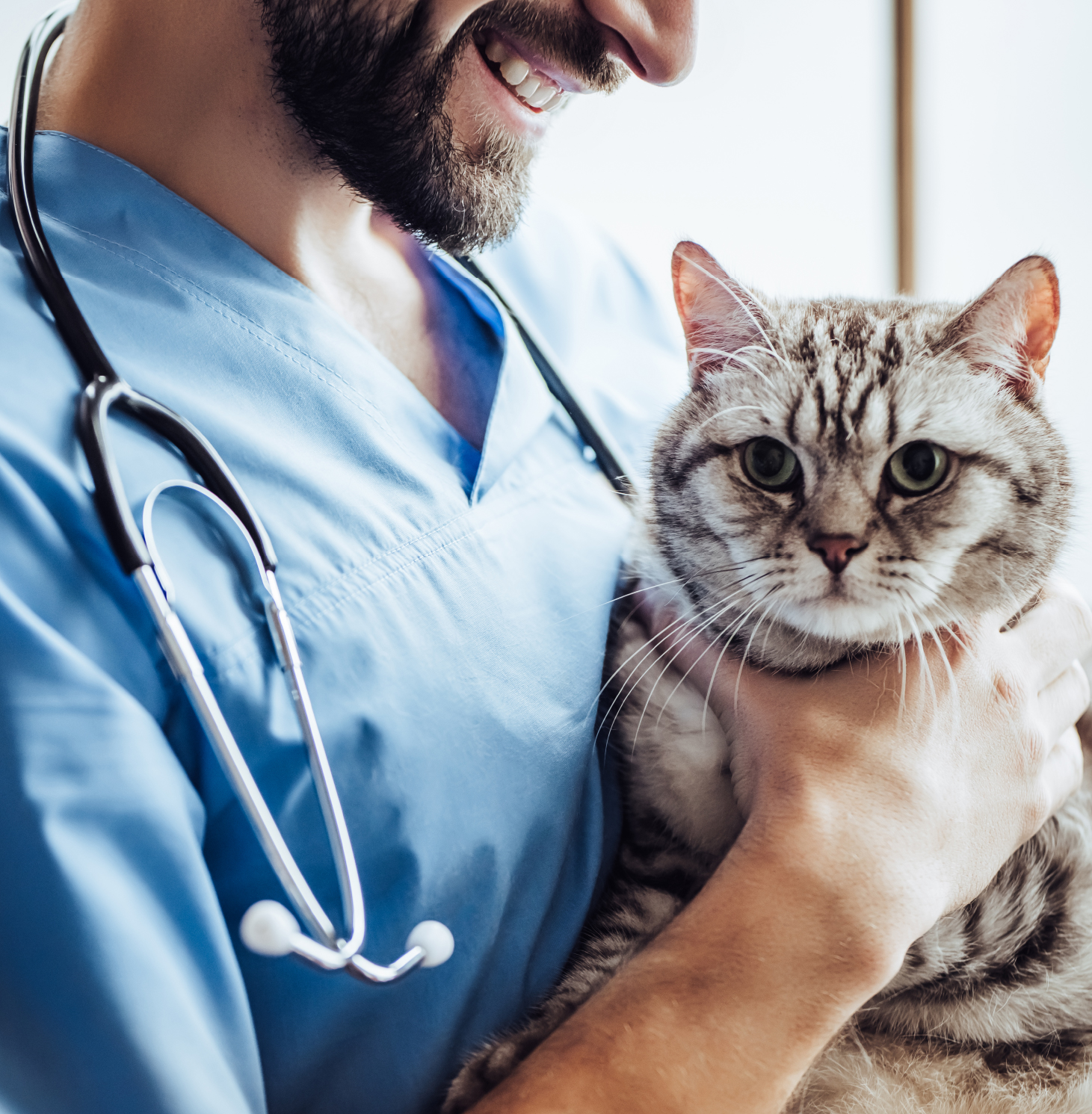 Featured image for “Strengthen Your Veterinary Practice with Smart Marketing”